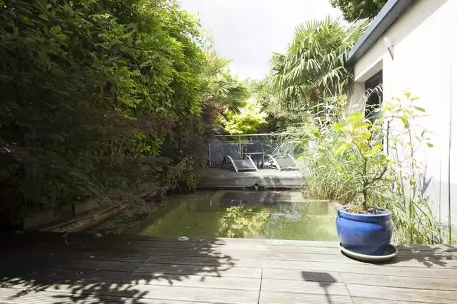 Jardin aménagé avec bain de soleil