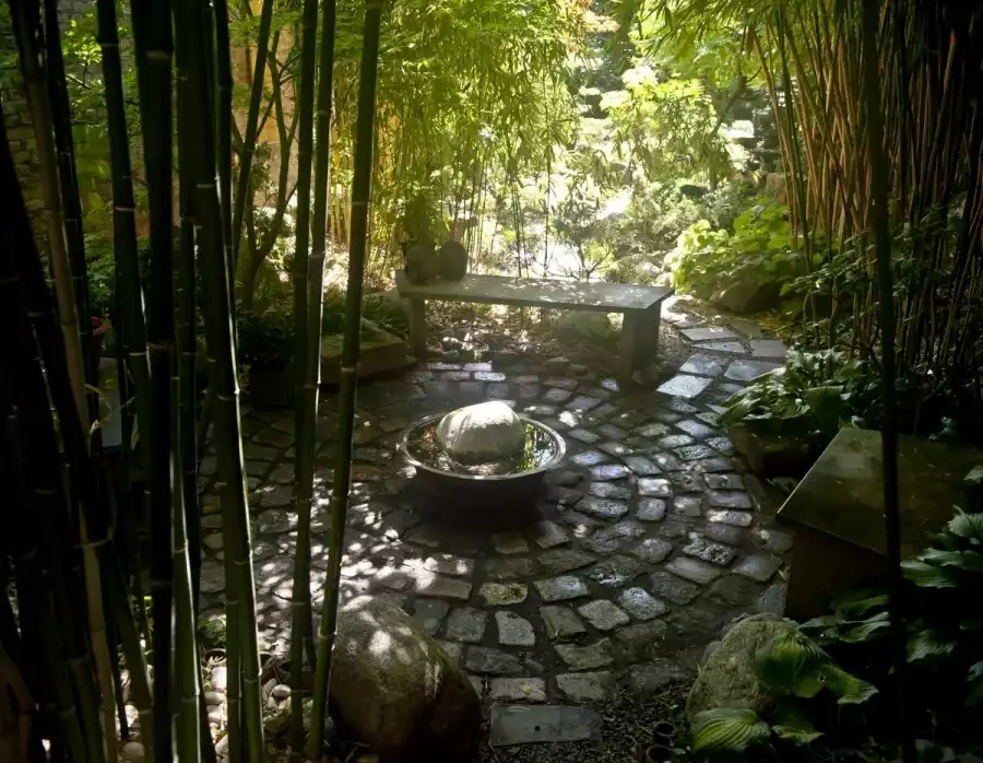 Jardin Bambusa 2