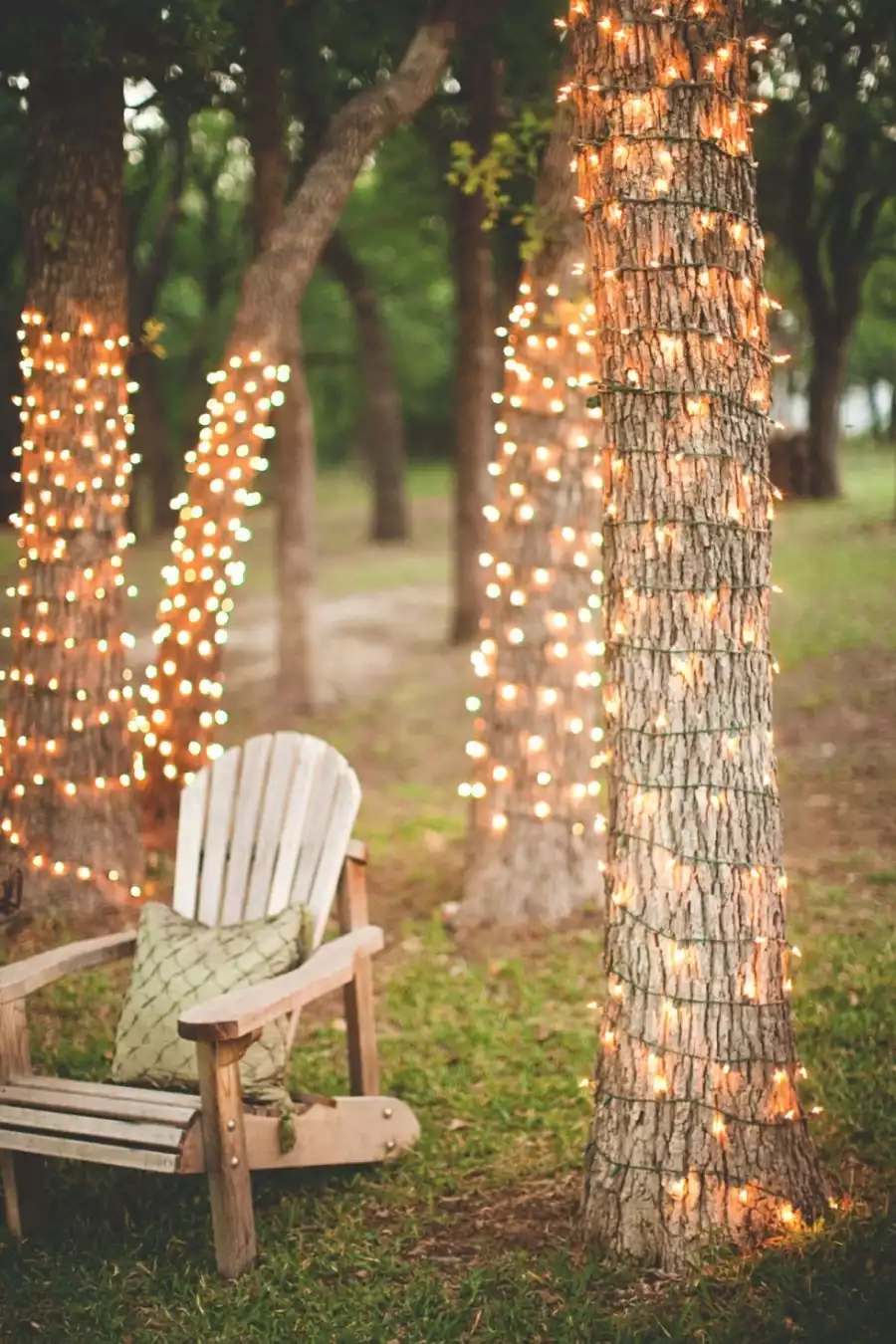 Jardin décoré avec des guirlandes