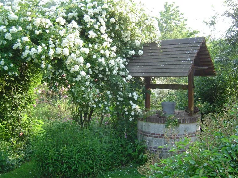Le jardin des lianes