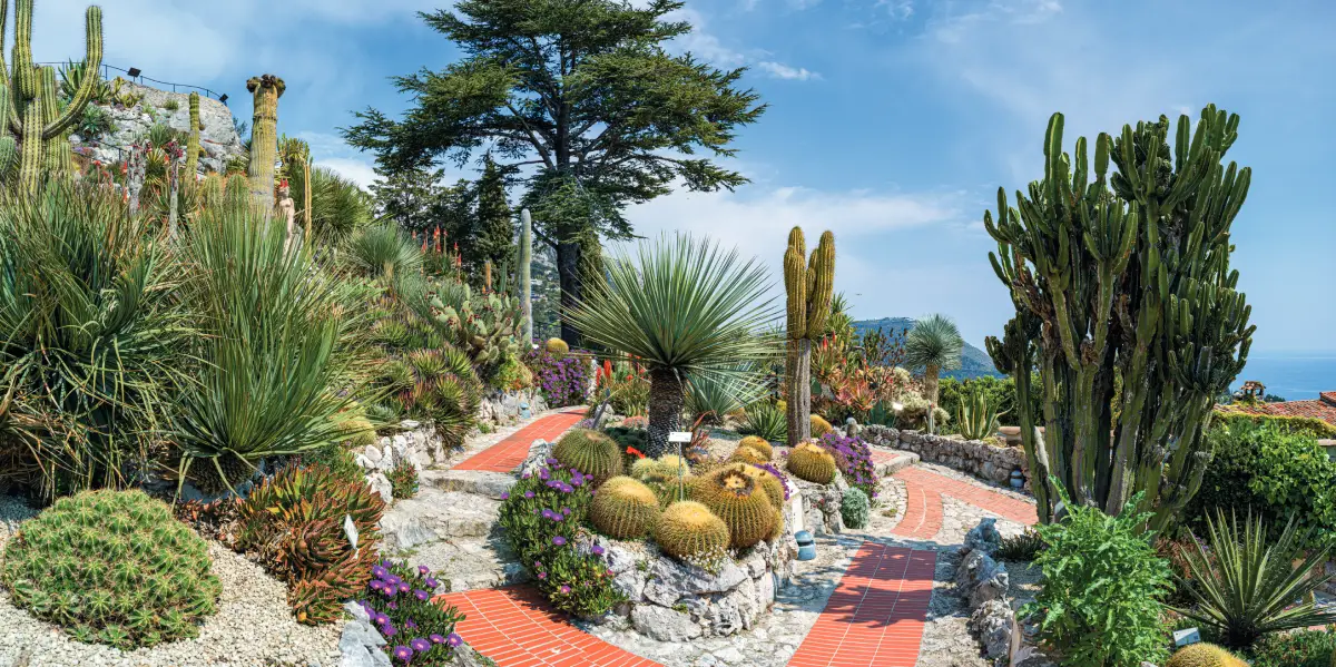 Le jardin exotique de la ville d'Èze