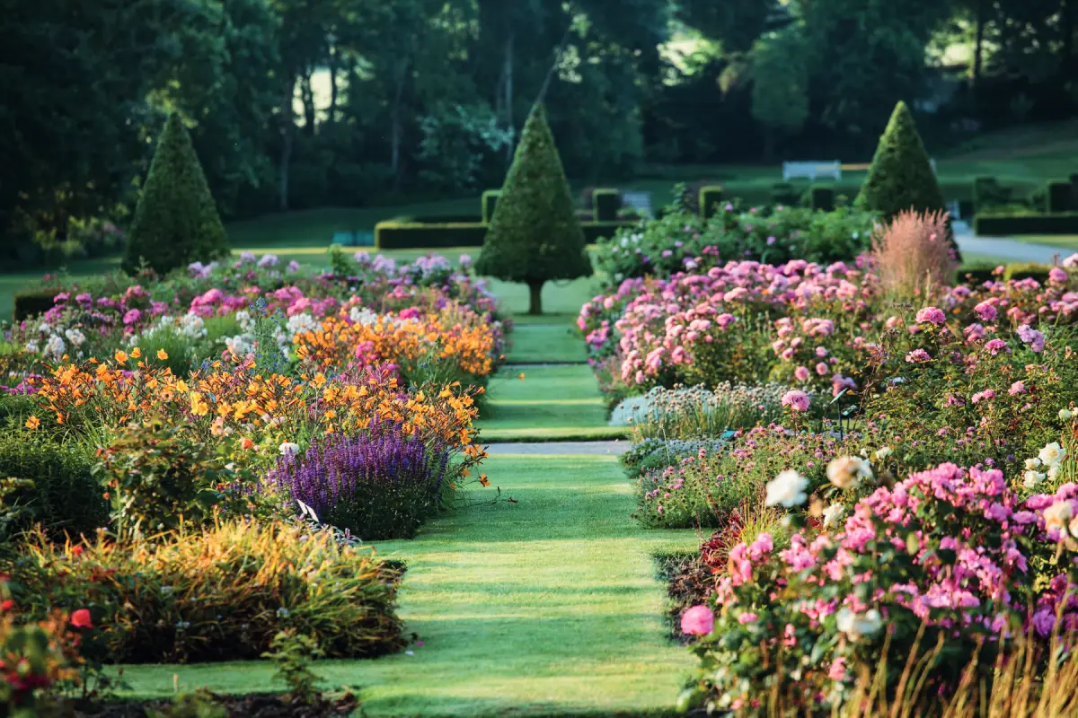 Les jardins de l’Abbaye de Valloires, rosiers