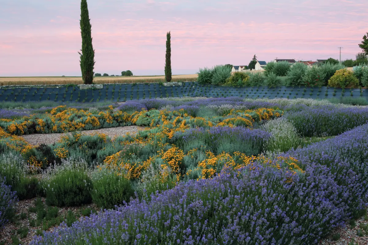 Les jardins du Rivau, jardin remarquable