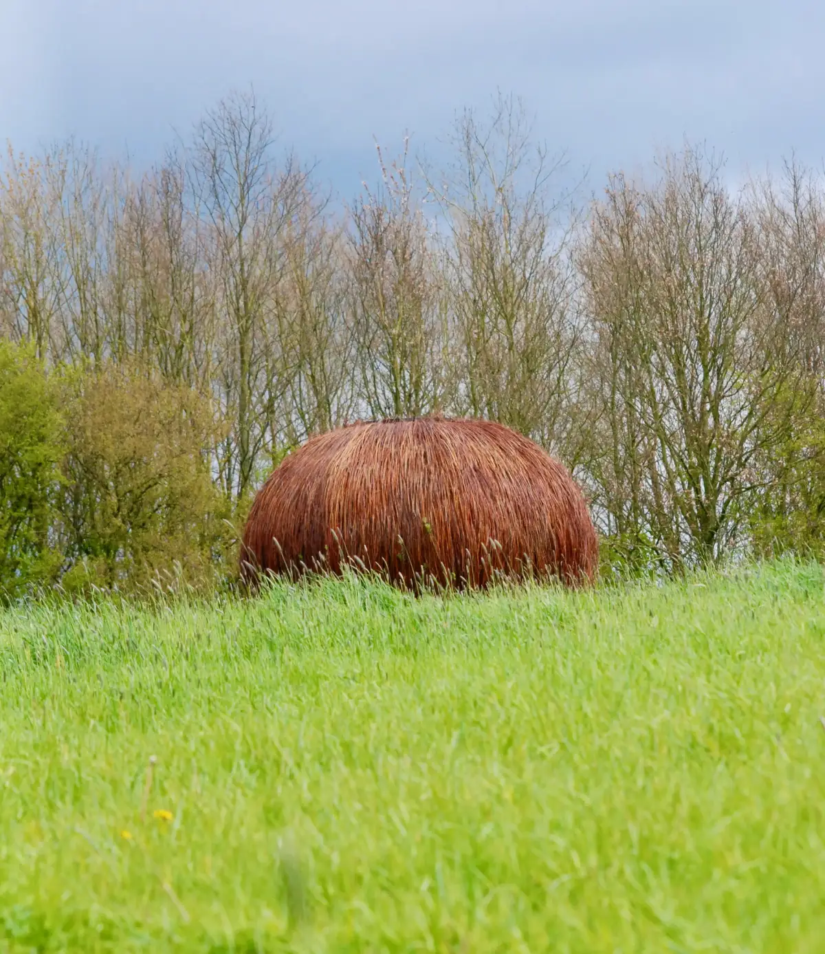 La fleur échappée, land art, Bailleul.