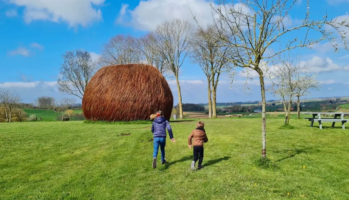 Le labyrinthe 3D, de land art, Boeschèpe.