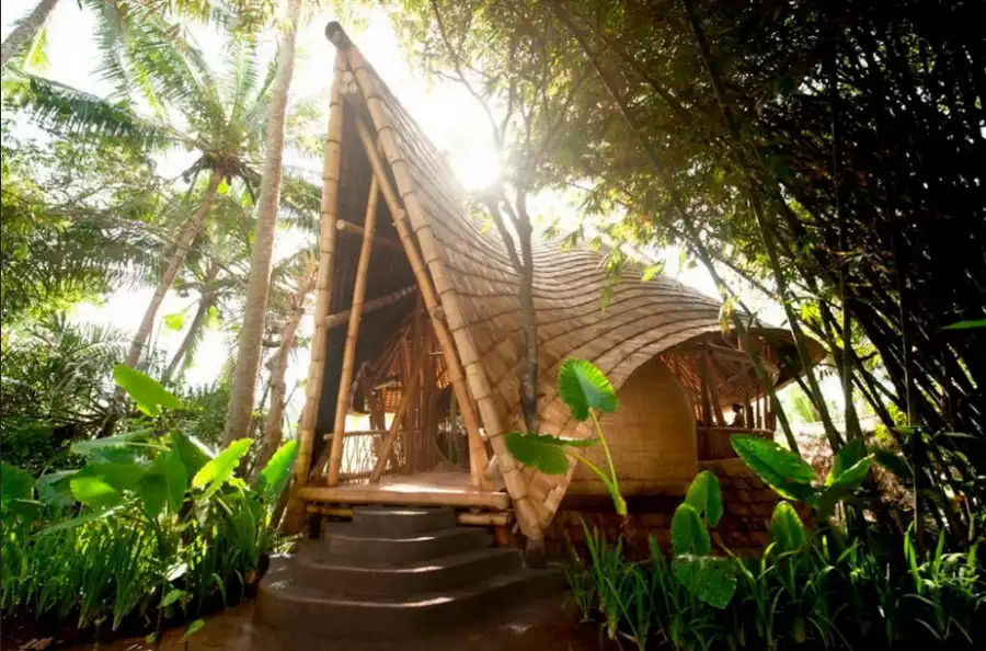 Maison en bambou extérieur