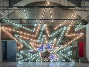 Oeuvre Stardust de la Vanhaerents Art Collection