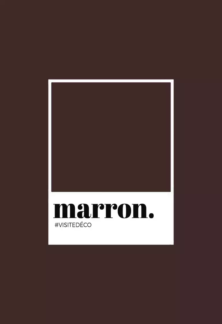 Couleur marron