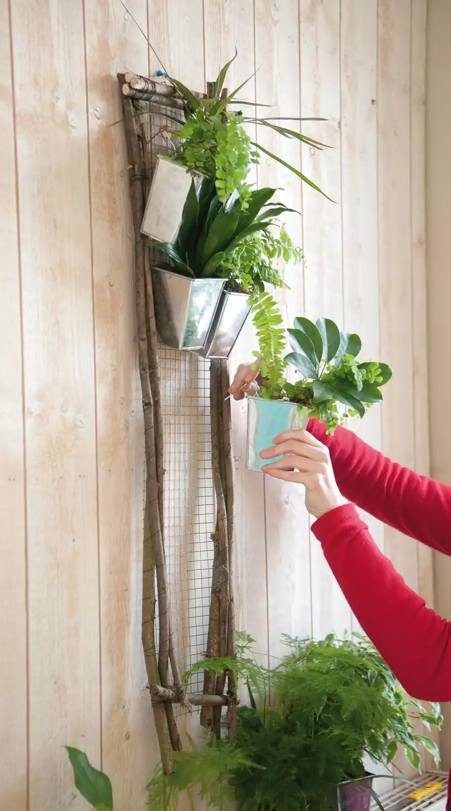 mur vegetal