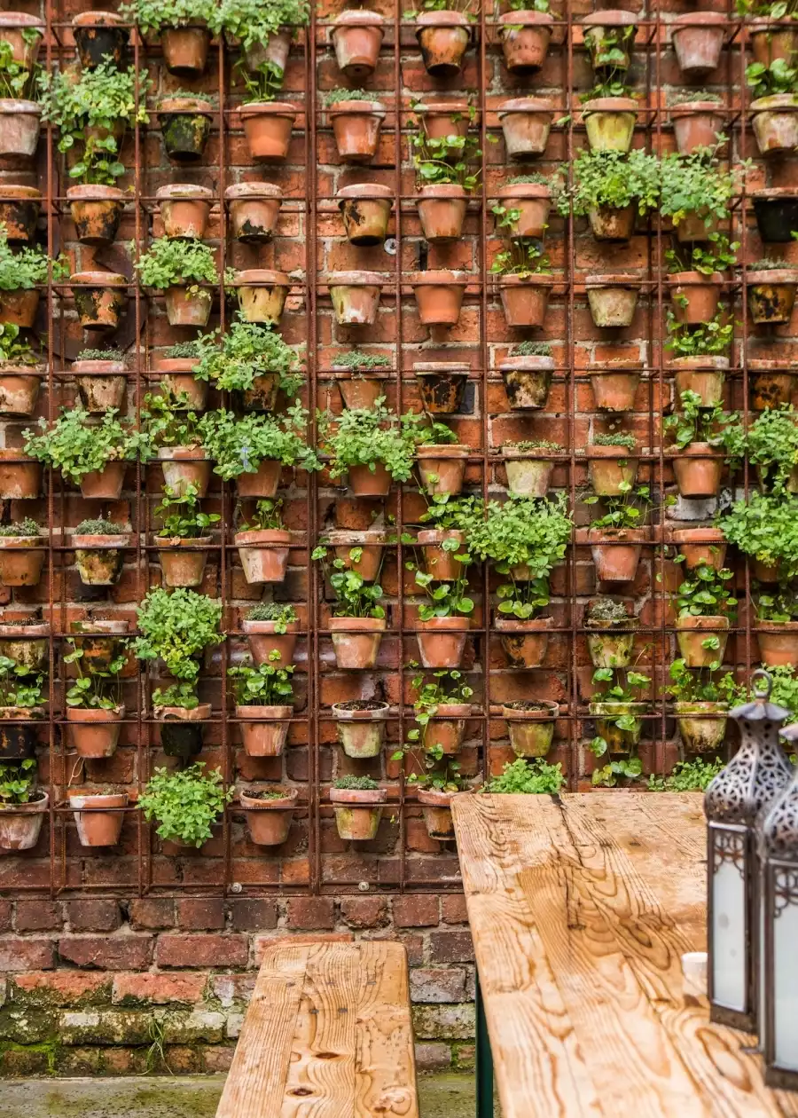 Mur végétal sous grille