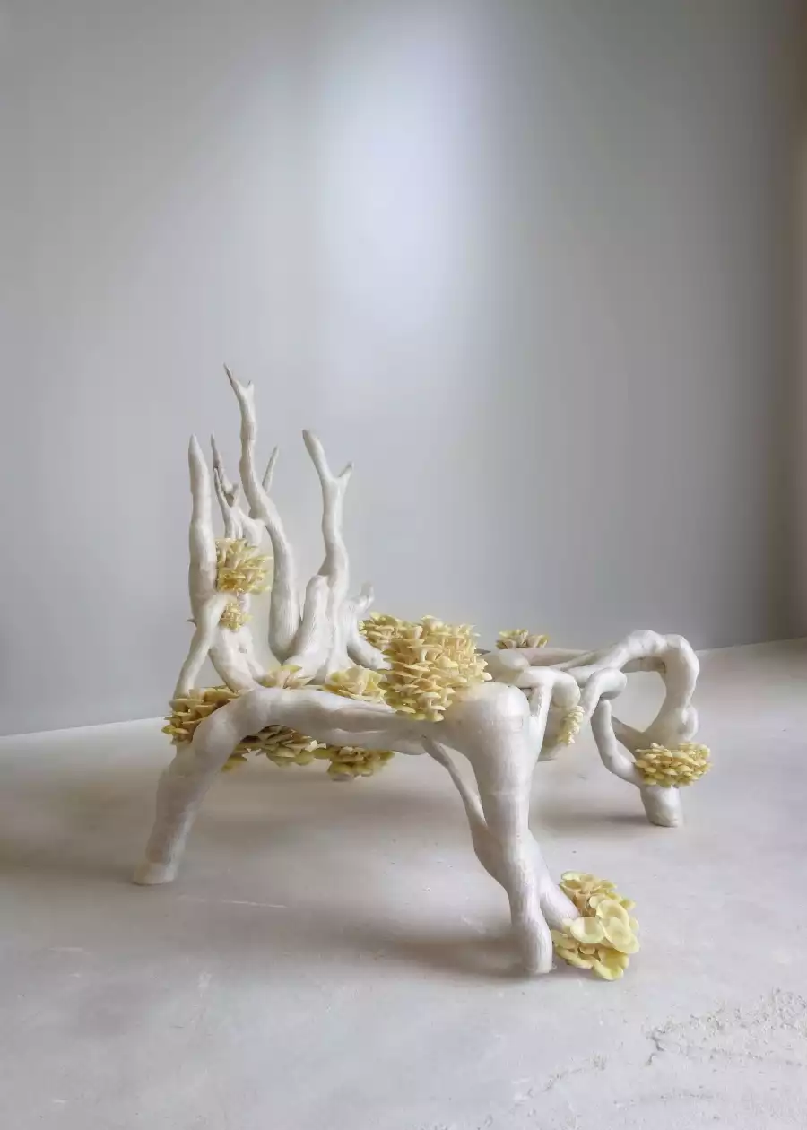 MYCELIUM CHAIR