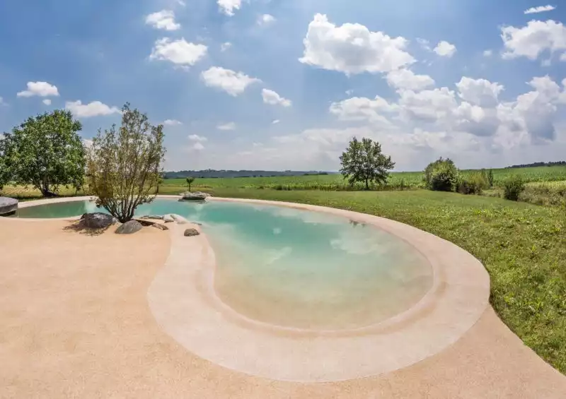 Piscine extérieure forme haricot