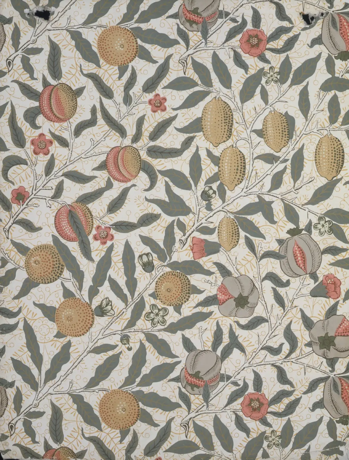 Papier peint Fruits de Morris & co