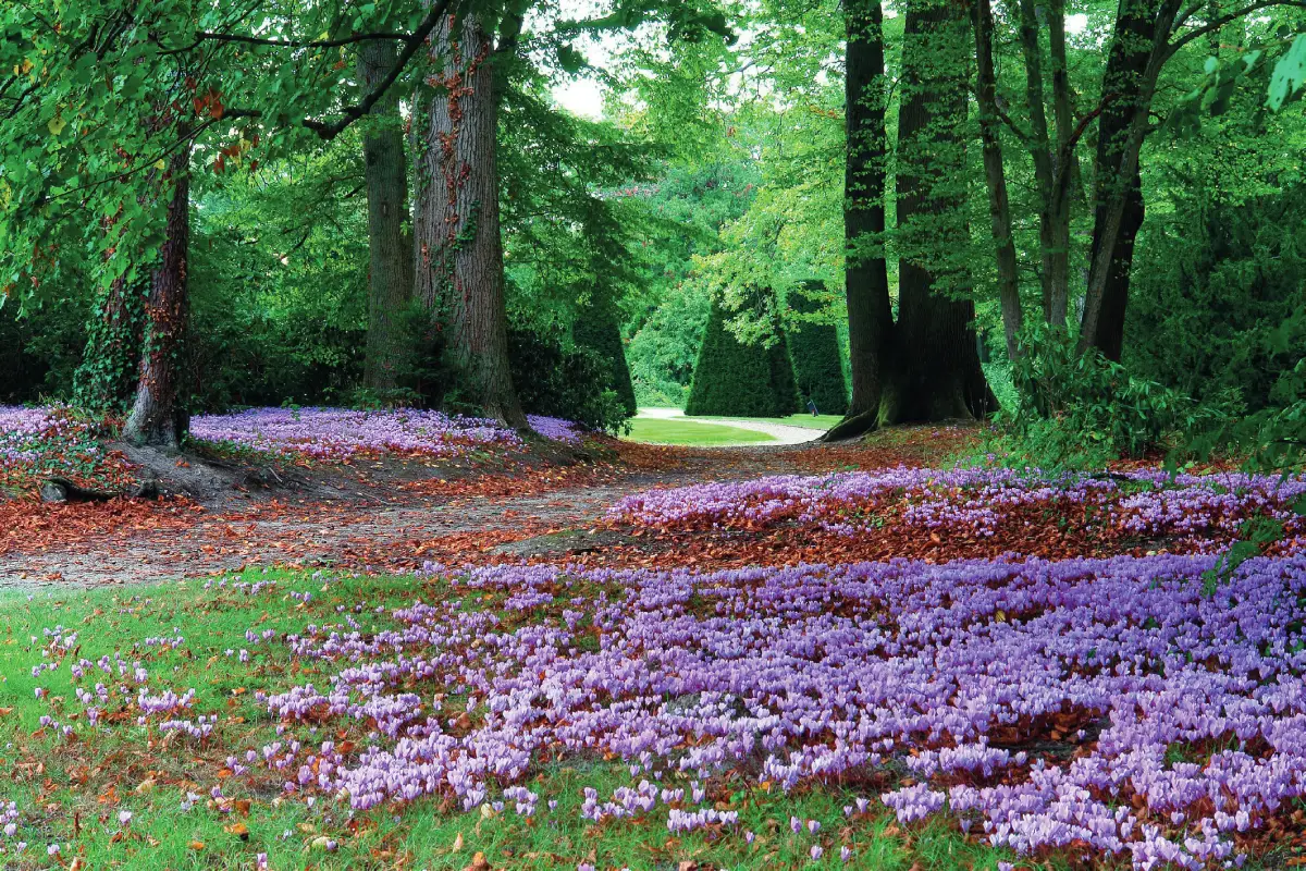 Le parc du château de Breteuil