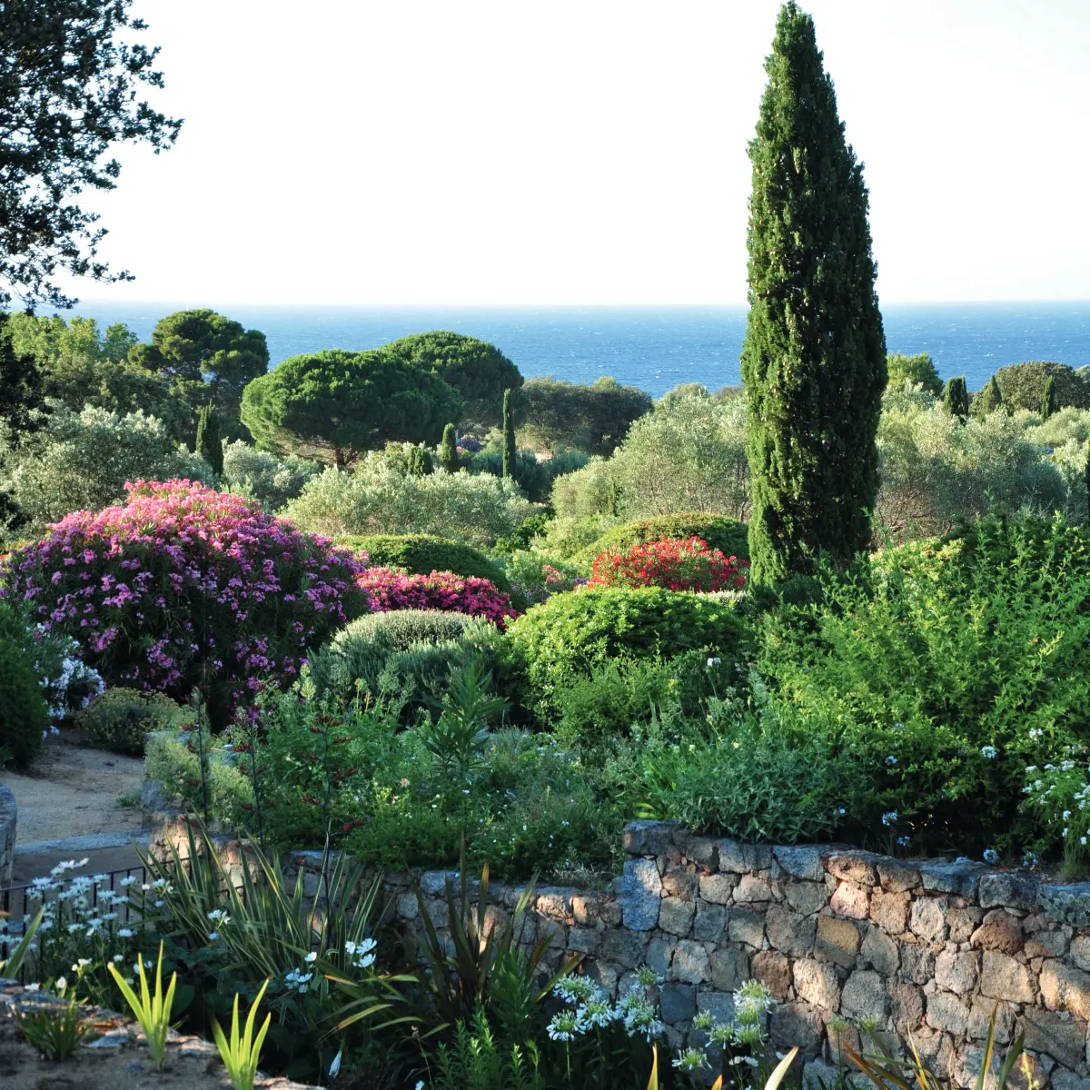 Le parc de Saleccia, jardin remarquable