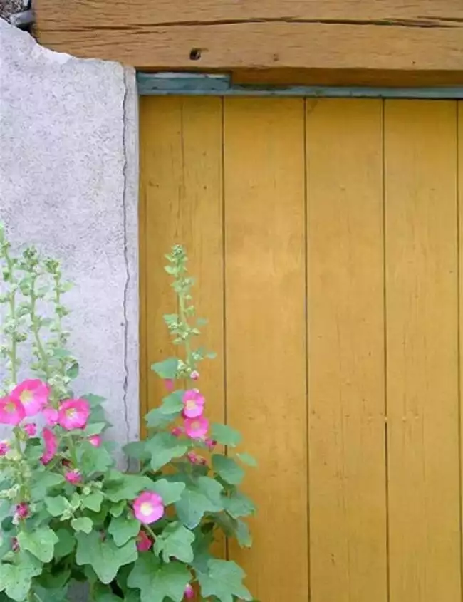 Peinture naturelle suédoise au blé