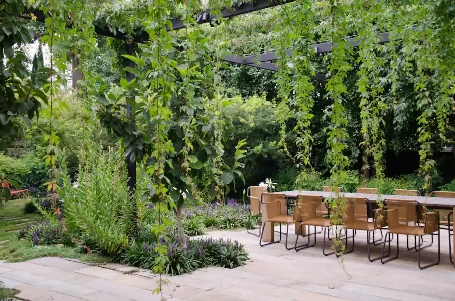 Pergola en bois avec plantes