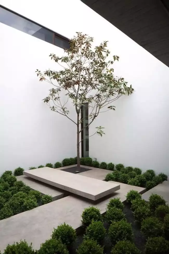Petit jardin minimaliste