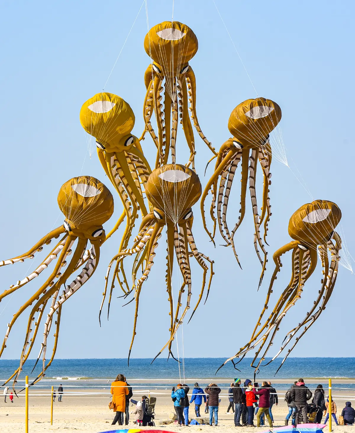 Cerfs-volants pieuvres aux Rencontres internationales de Berck