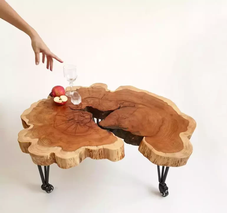 Souche de bois transformée en table basse
