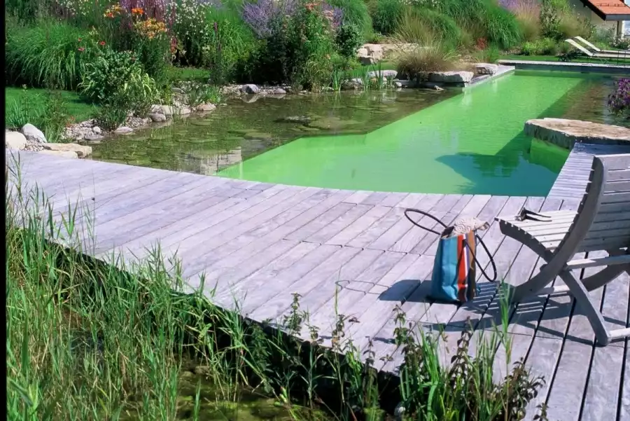 Piscine naturelle Référence Nature