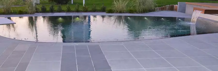 piscine forme organique