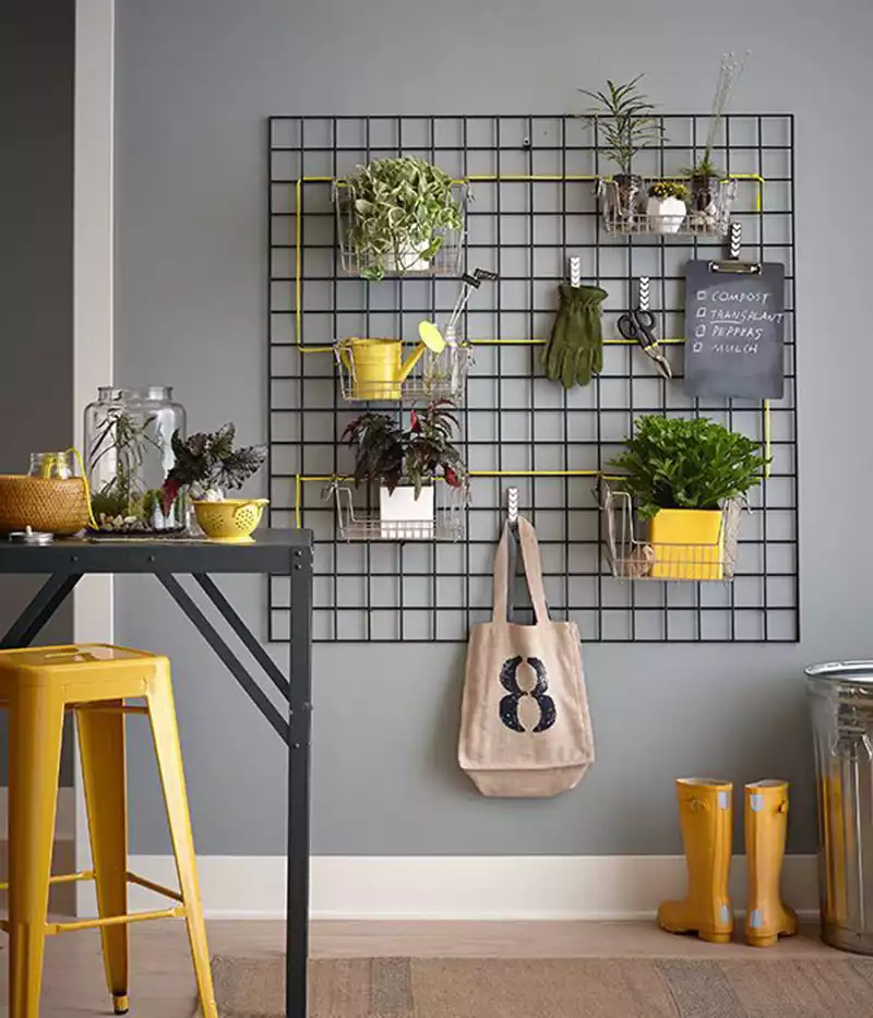 Plantes fixées sur grille au mur