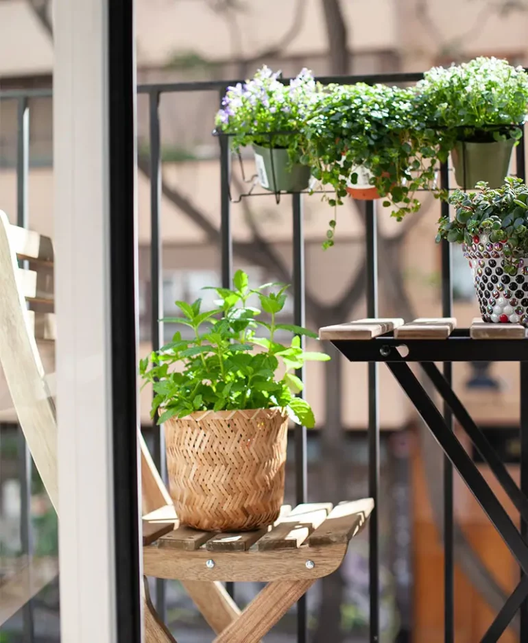 Jardin citadin terrasse