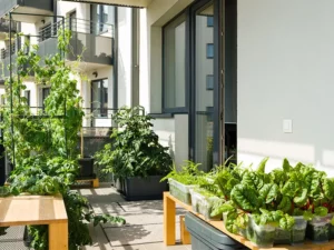 Potager sur balcon