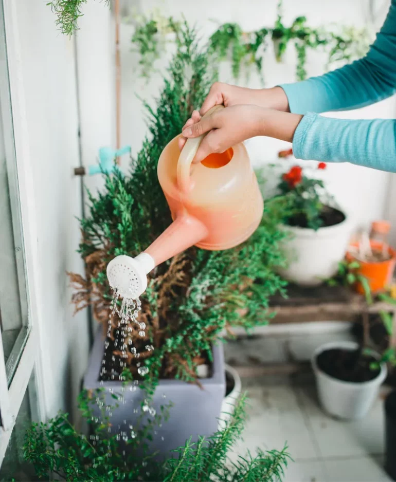 Potager sur le balcon d'un appartement