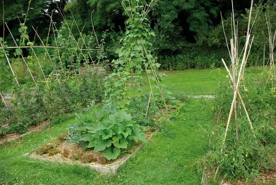 Potager Roubaix