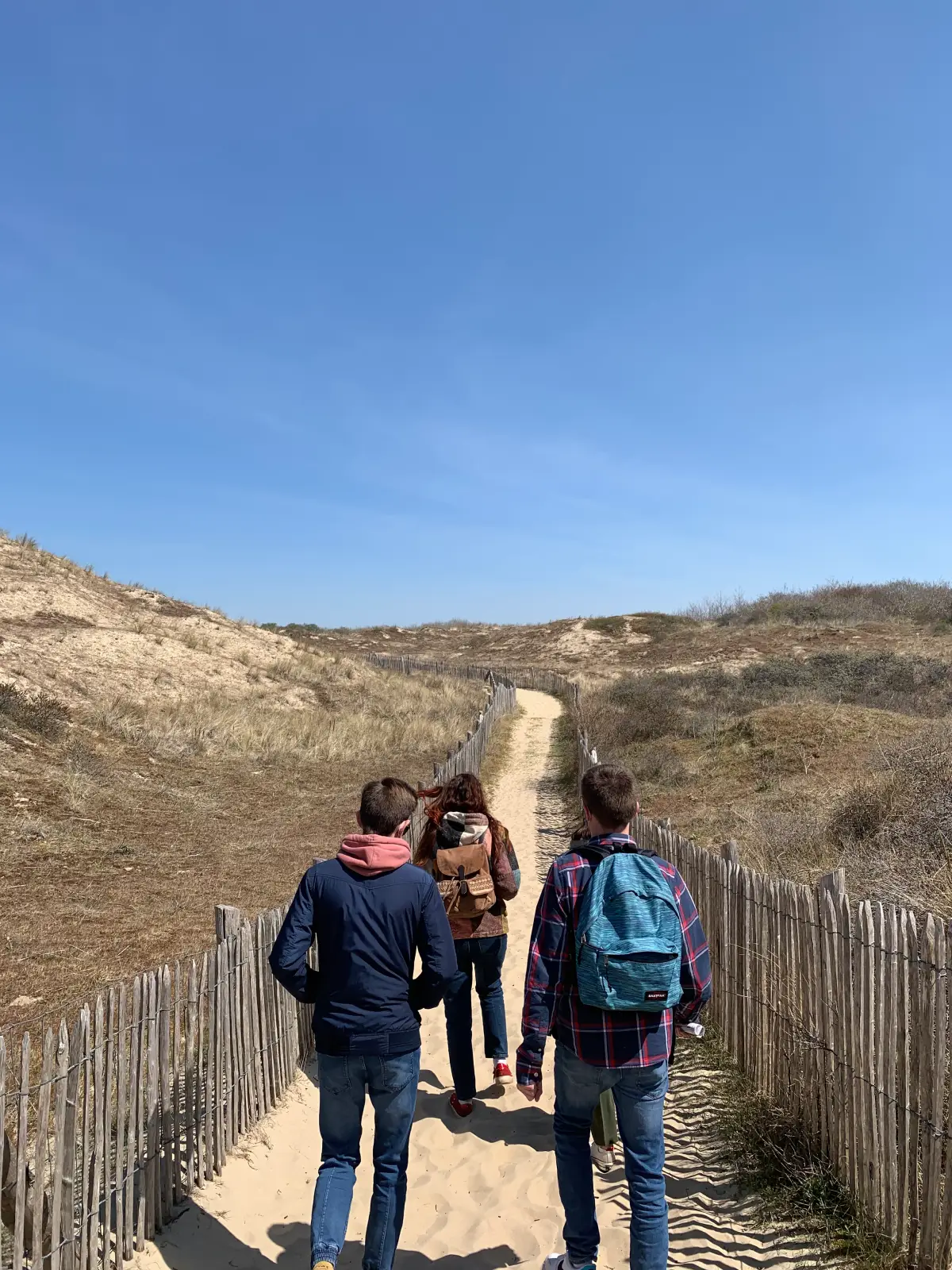 Randonnées nature dans la baie d'Authie à Berck-sur-Mer