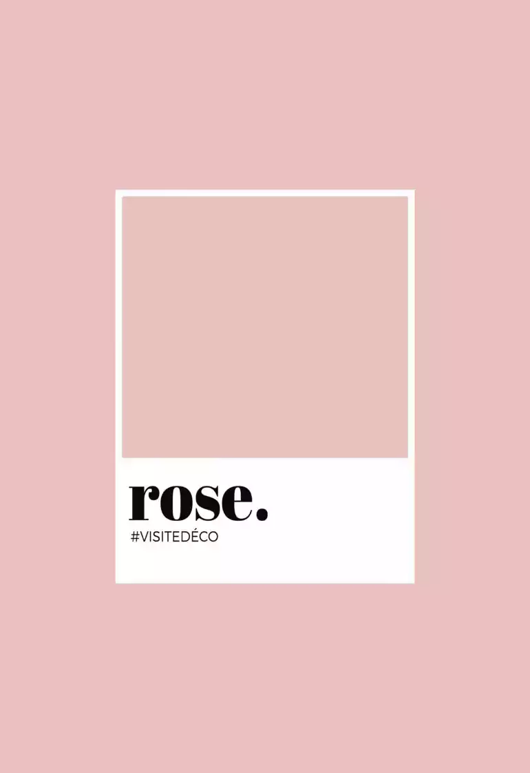 Rose, illustration échantillon de couleur