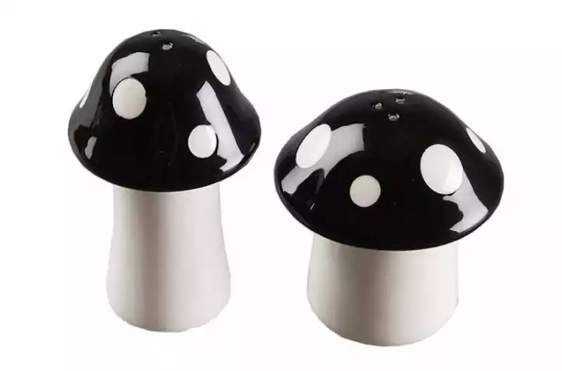 Salière et poivrière champignon