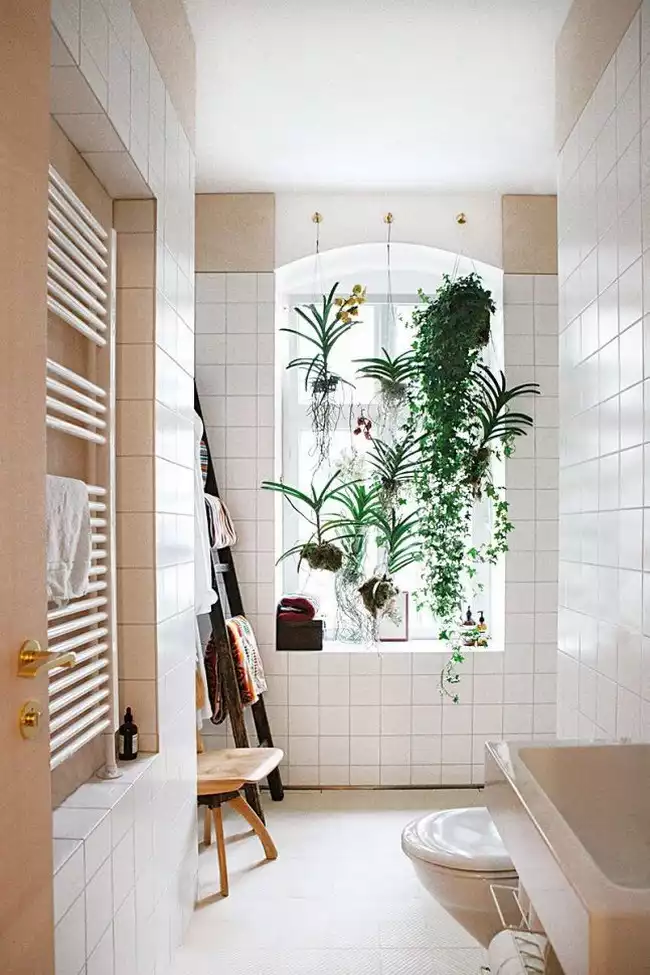 Salle de bain avec rideau de plantes