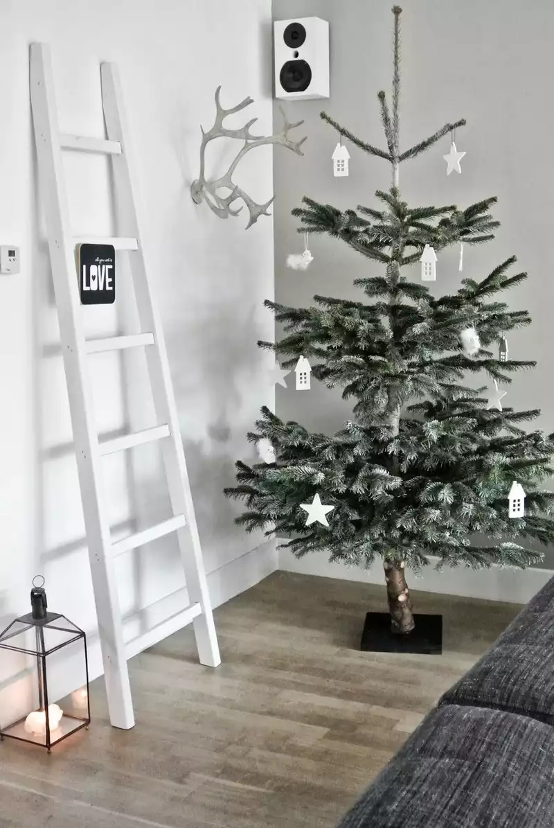 Sapin de Noël naturel