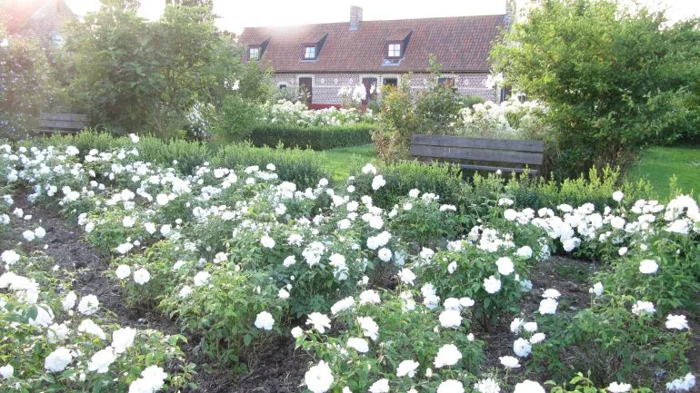 Jardin des senteurs 