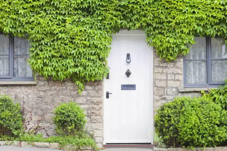 maison en pierre avec lierre