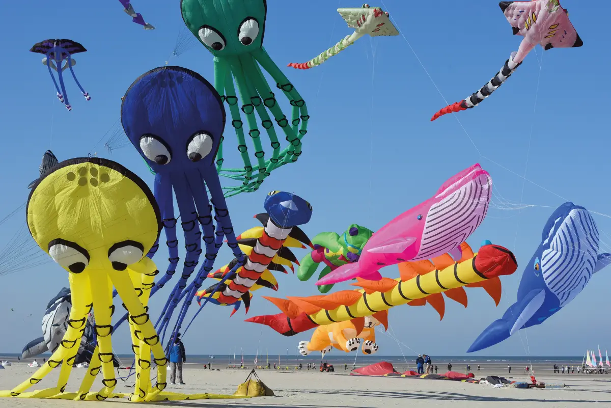 Station balnéaire Berck-sur-Mer, Rencontres Internationales de Cerfs-Volants