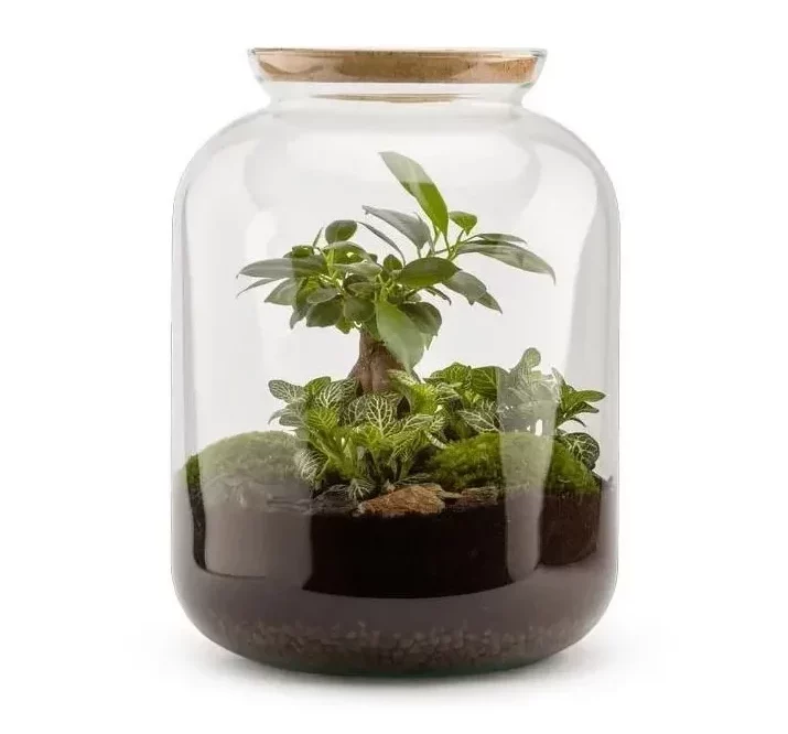 Terrarium