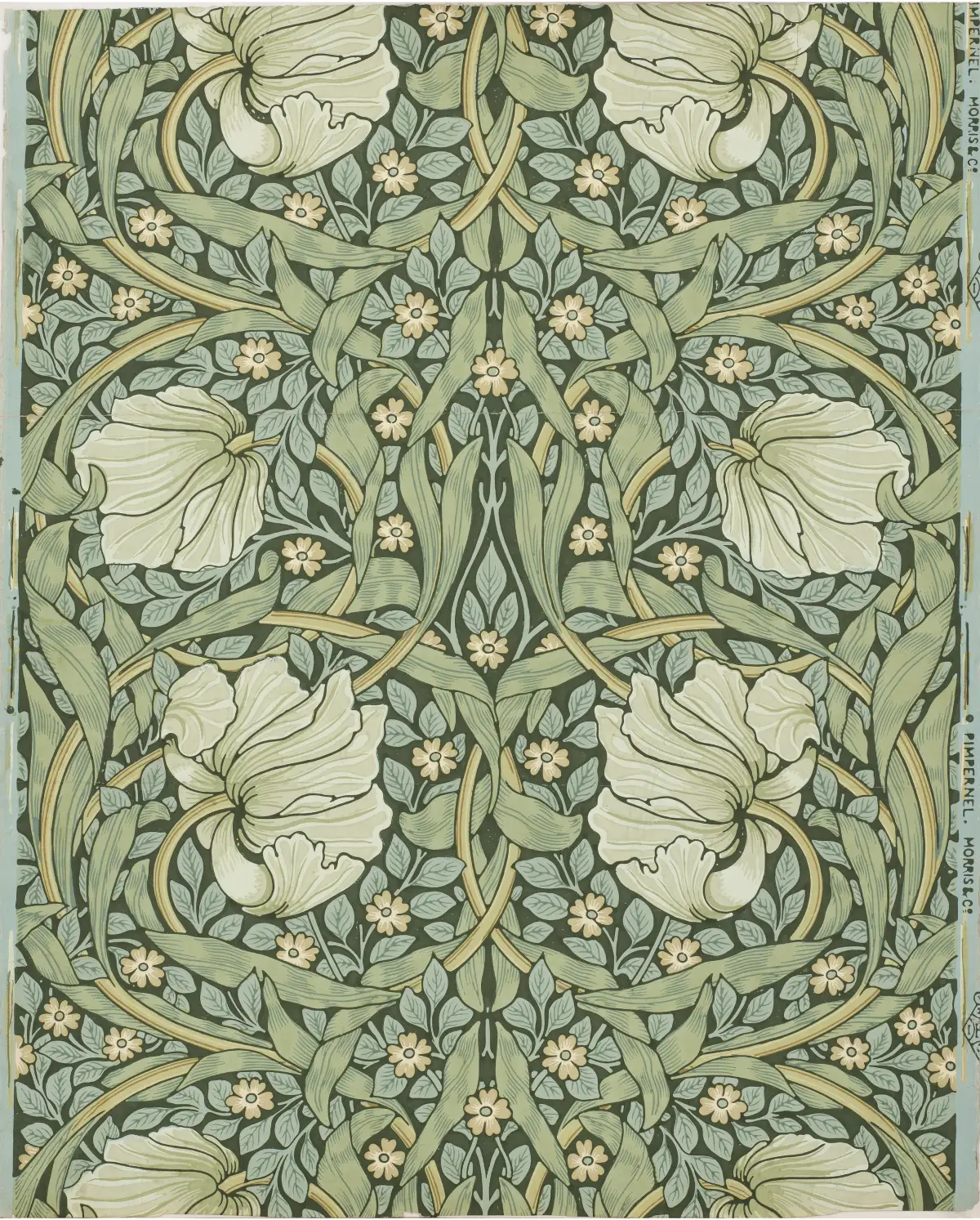 The pimpernel par William Morris, roubaix à l'heure anglaise