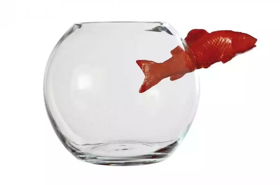 Vase en verre, poisson qui sort du bocal qui sort d'un bocal