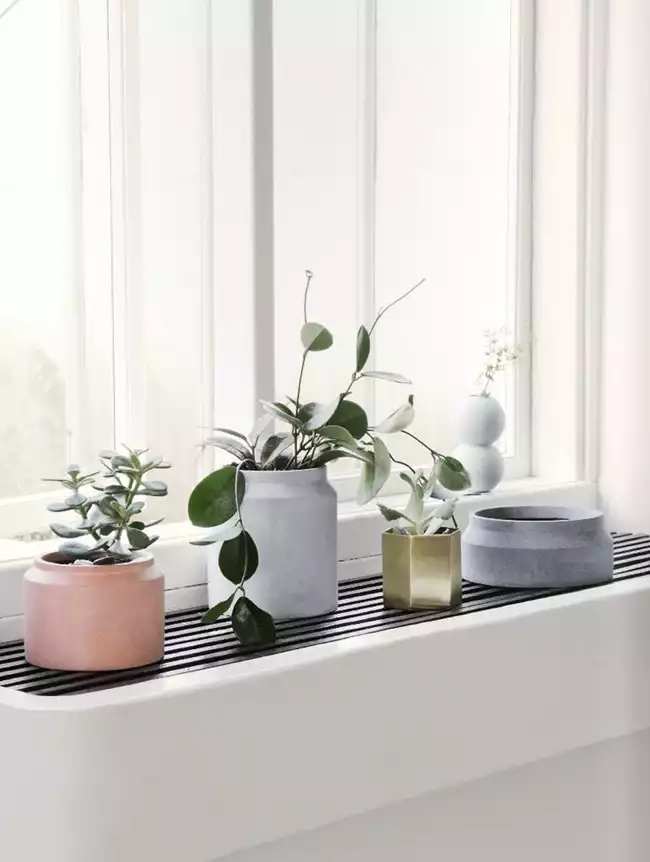 Vases en béton