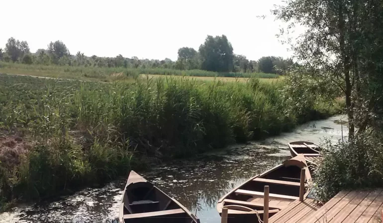 faiseurs de bateaux, marais audomarois